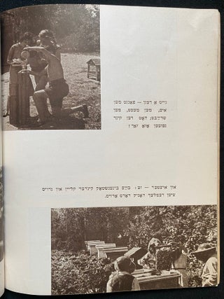 Item 281698. MEDEM-SANATORYE. SANATORIUM IM. MEDEMA [COVER TITLES]