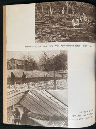 Item 281698. MEDEM-SANATORYE. SANATORIUM IM. MEDEMA [COVER TITLES]
